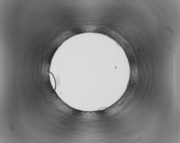 X0000110760525200907271146