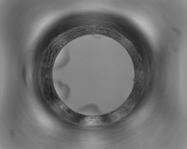 X0000110760526200907271146