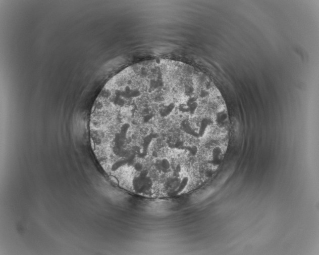 X0000110760527200907271146