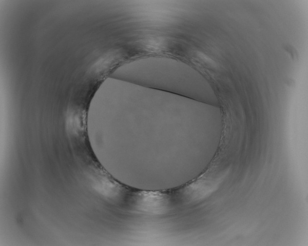 X0000110760528200907271146