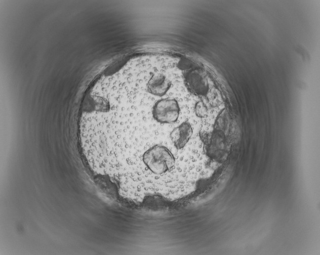X0000110760529200907271145