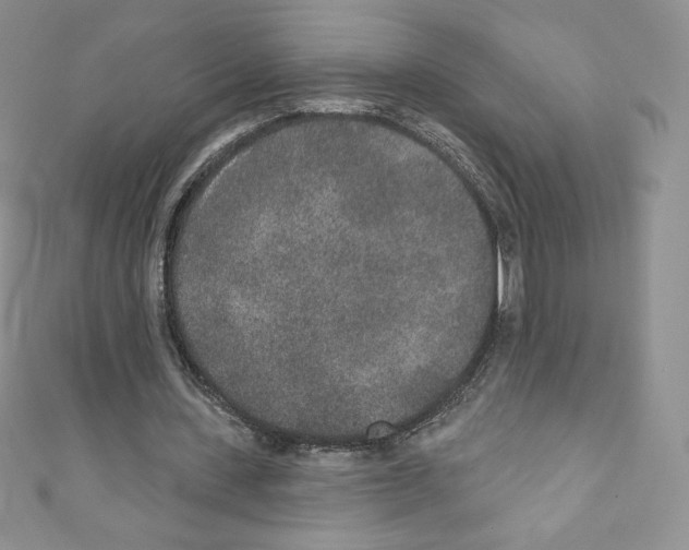 X0000110760531200907271145