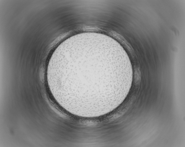 X0000110760533200907271145