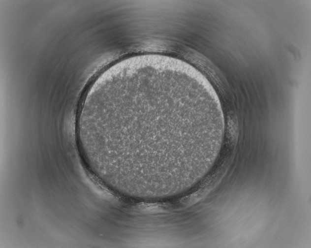 X0000110760534200907271145