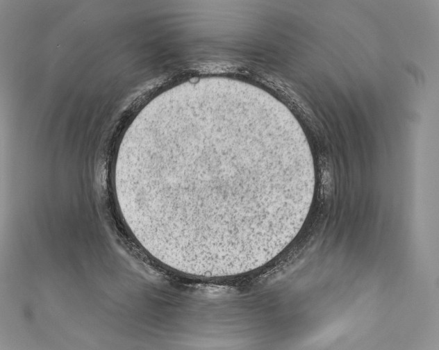 X0000110760539200907271146