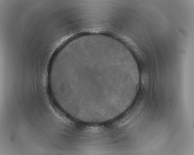 X0000110760540200907271146