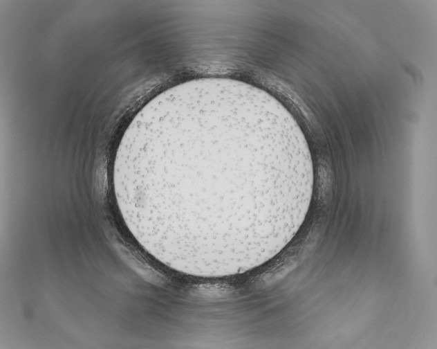 X0000110760541200907271146