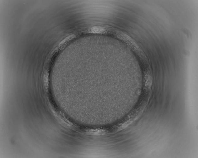 X0000110760542200907271146