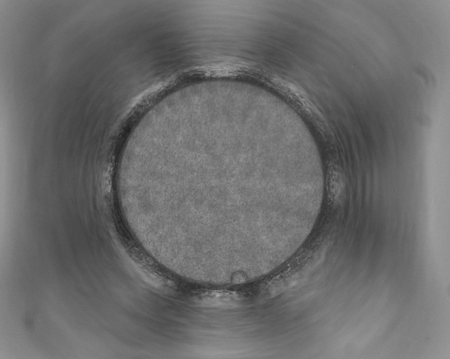 X0000110760543200907271146