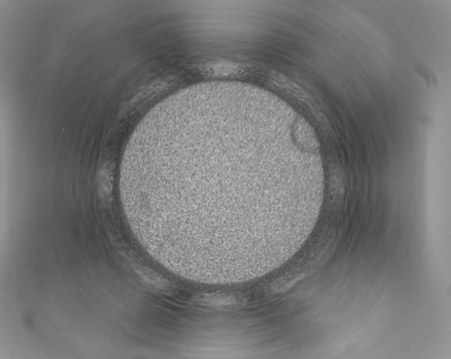 X0000110760545200907271146