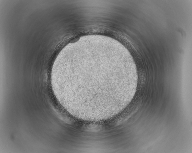 X0000110760546200907271146