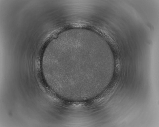 X0000110760547200907271146