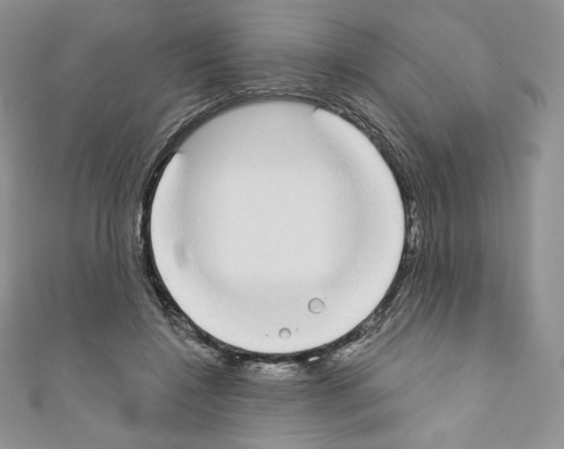 X0000110760548200907271146
