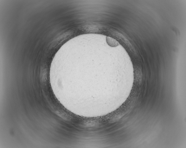 X0000110760549200907271146