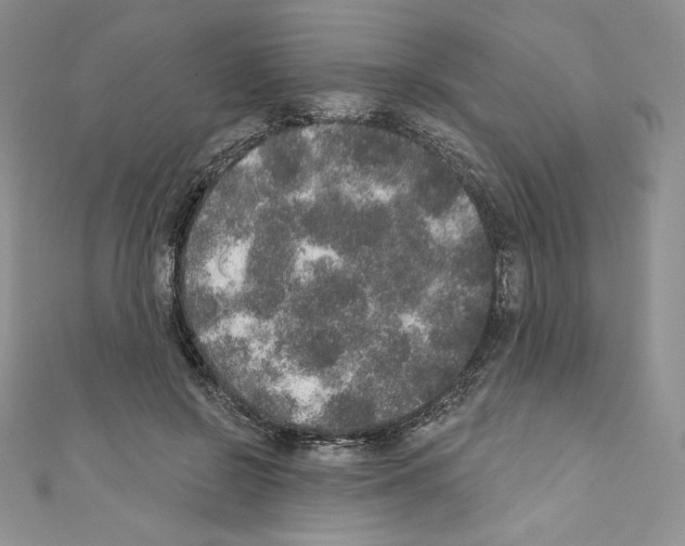 X0000110760550200907271146