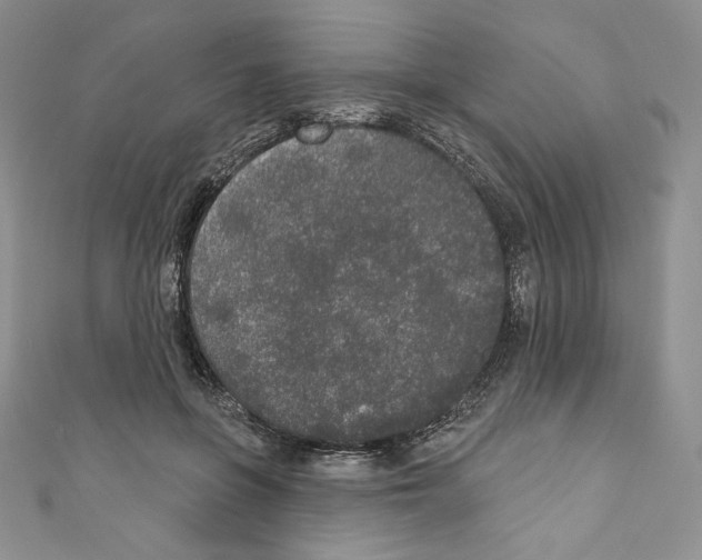 X0000110760551200907271146