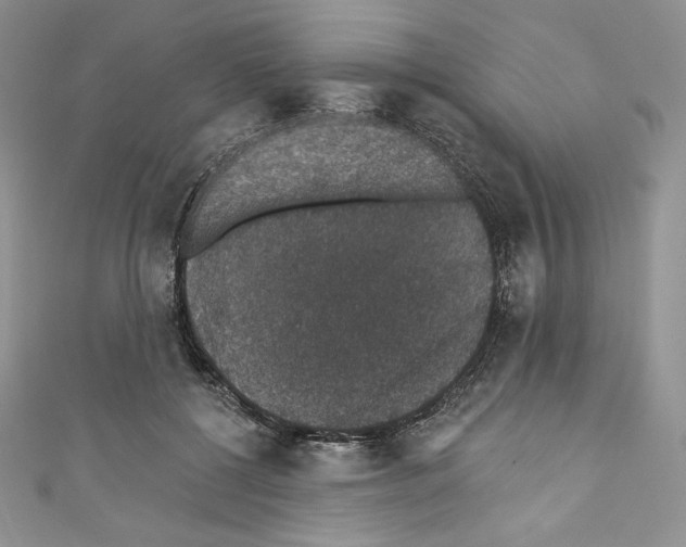 X0000110760552200907271146