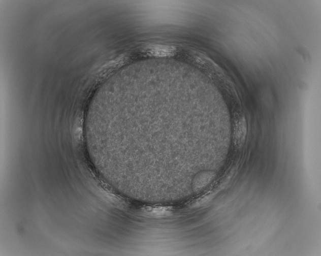 X0000110760553200907271146