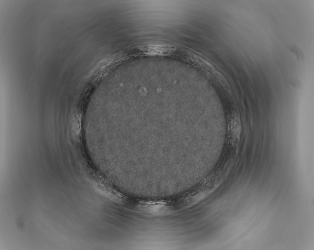 X0000110760554200907271146
