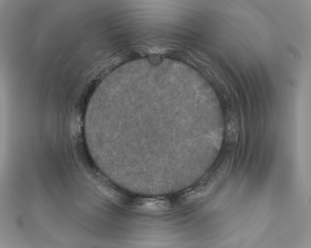 X0000110760555200907271146