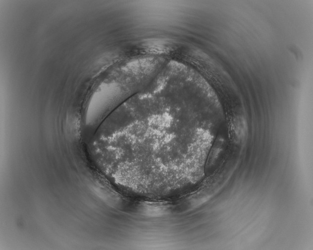 X0000110760556200907271146