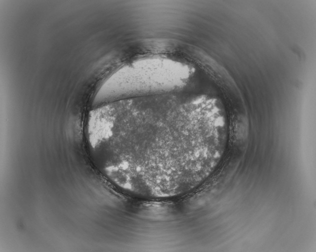 X0000110760558200907271146