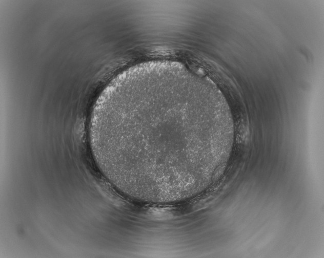 X0000110760560200907271146