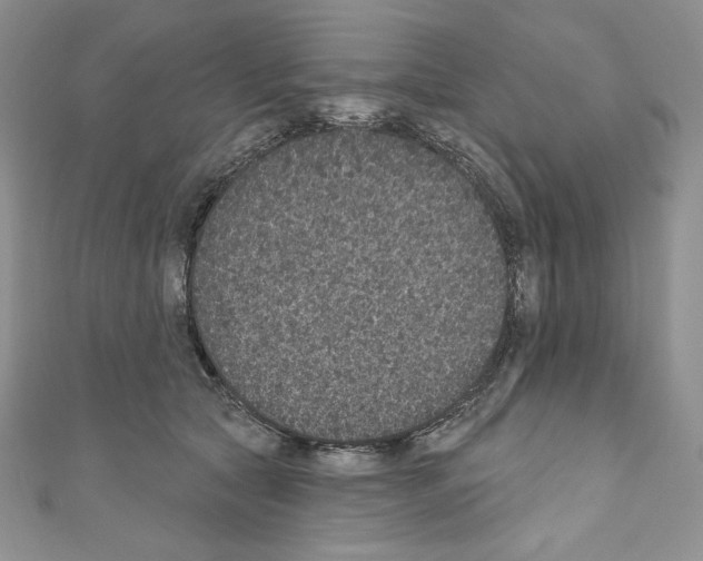 X0000110760561200907271146