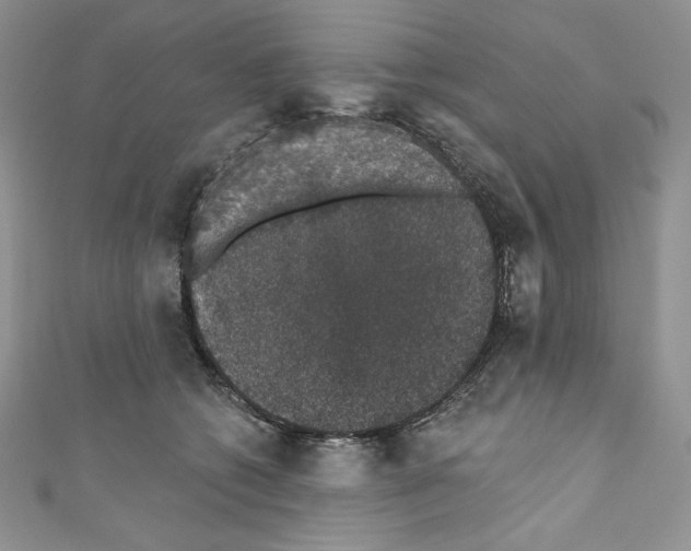 X0000110760562200907271146