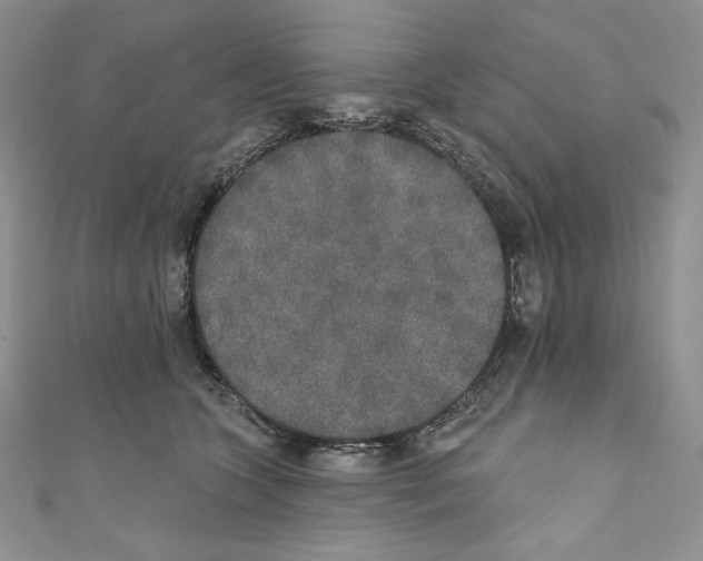 X0000110760563200907271146