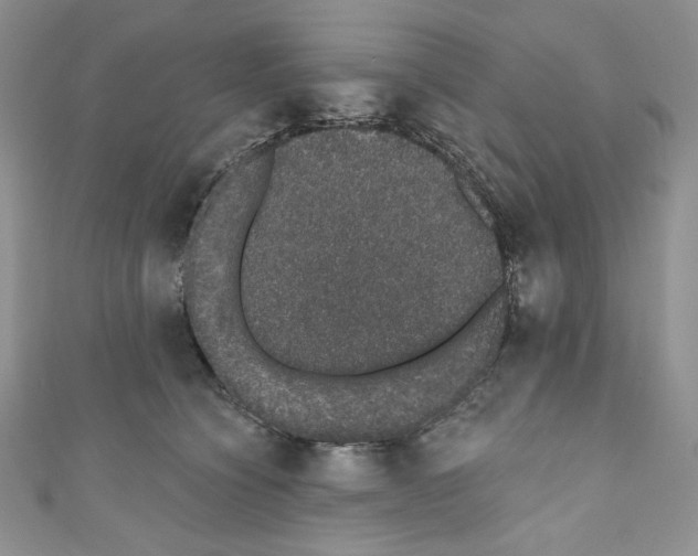 X0000110760564200907271146