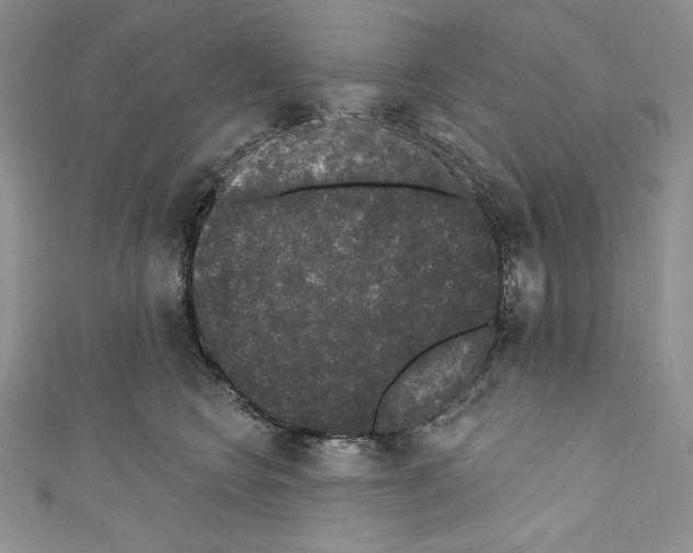 X0000110760566200907271146
