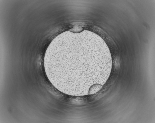 X0000110760567200907271146