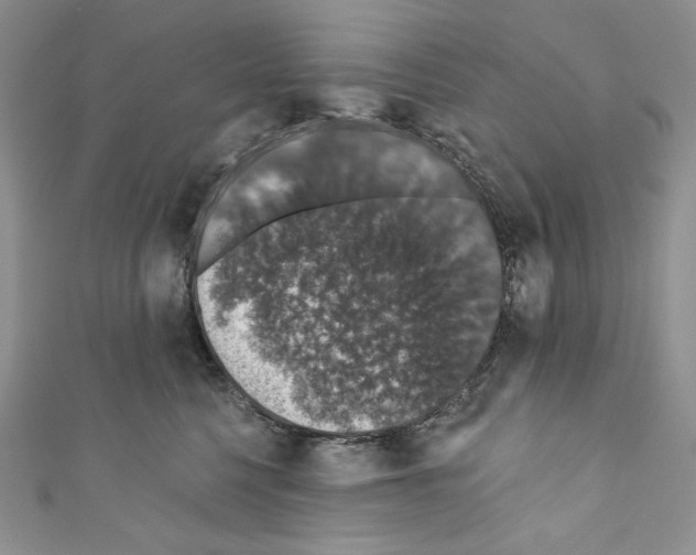 X0000110760568200907271146