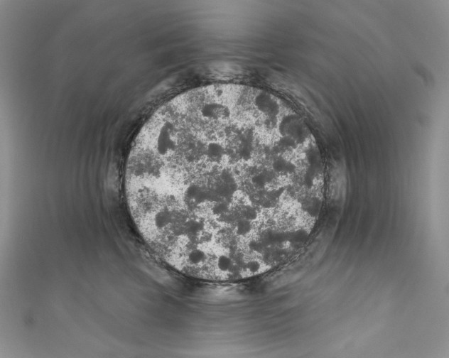 X0000110760569200907271146