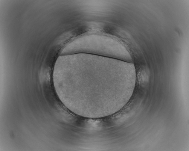 X0000110760570200907271146