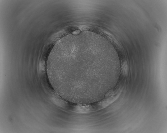 X0000110760571200907271146