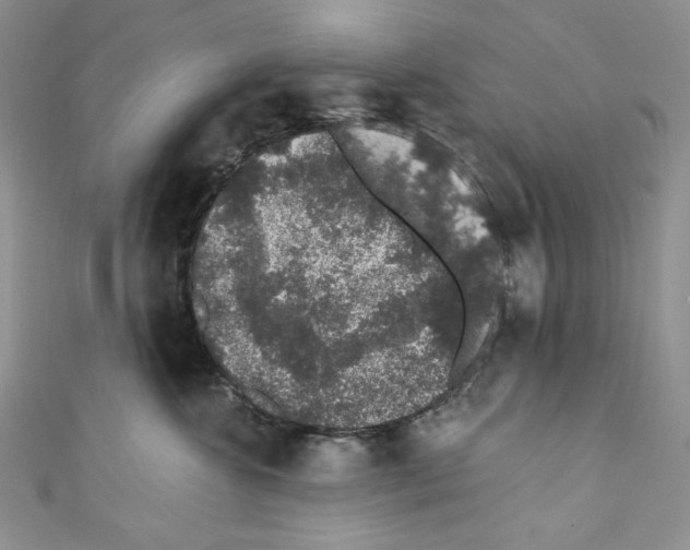 X0000110760572200907271146