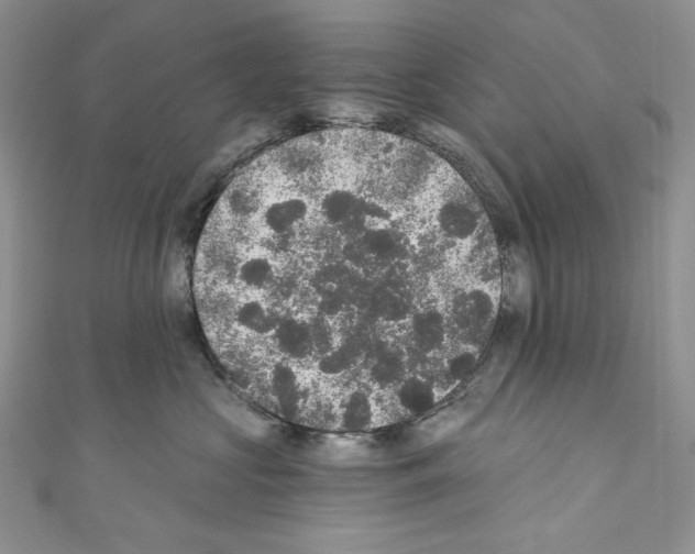 X0000110760573200907271146