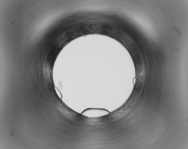 X0000110760574200907271146