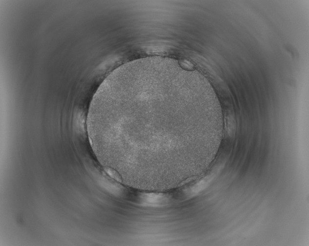 X0000110760575200907271146