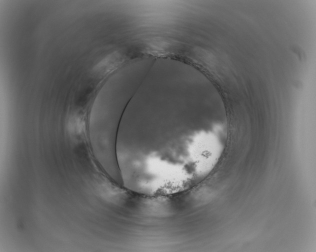 X0000110760576200907271146