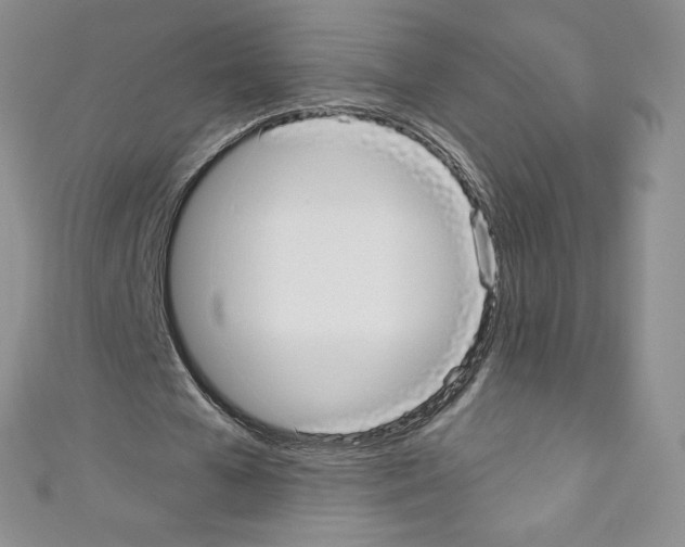 X0000110760577200907271145