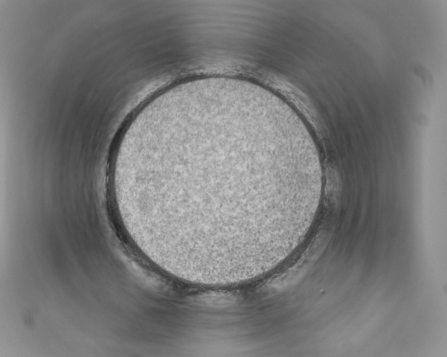 X0000110760578200907271145