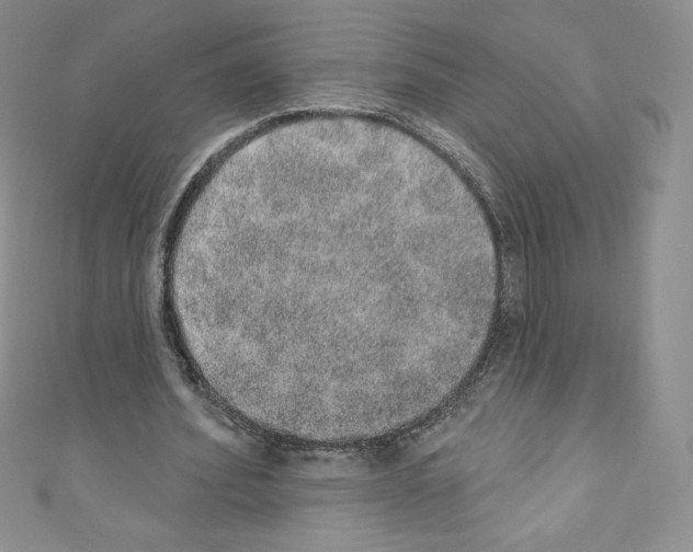 X0000110760580200907271145