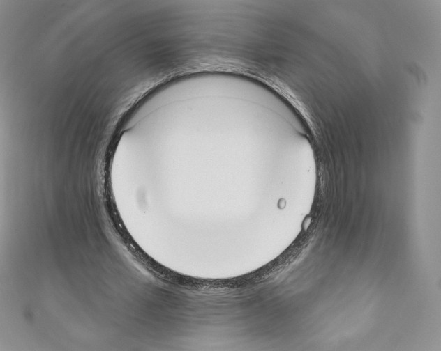 X0000110760581200907271145