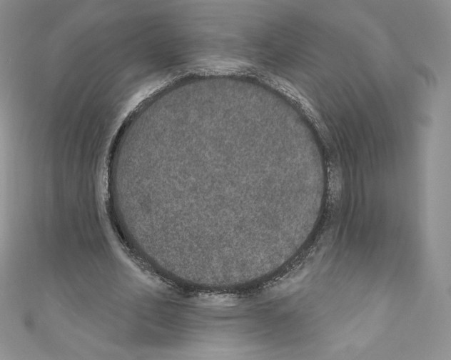 X0000110760582200907271145