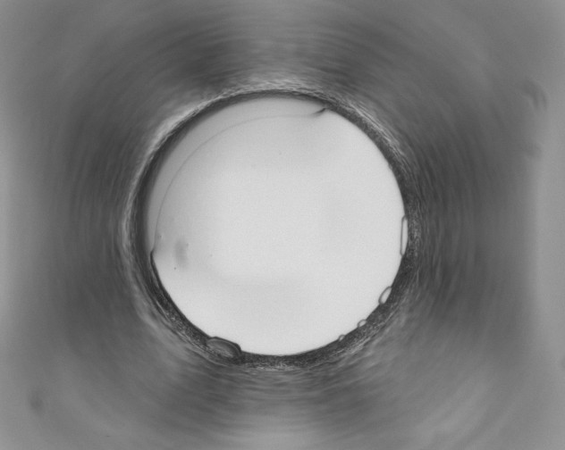 X0000110760583200907271145