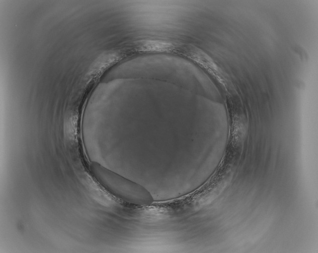 X0000110760585200907271145