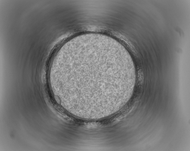X0000110760587200907271145
